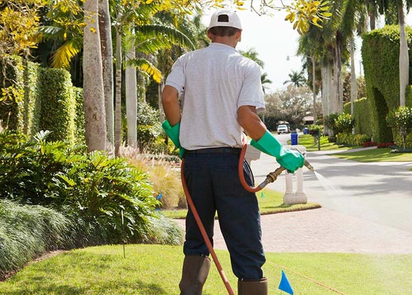 About Ranburne AL Pest Control
